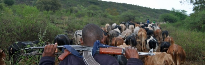 Siaya County Commissioner Sounds Alarm Over Rising Livestock Theft